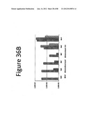 Stable Heterodimeric Antibody Design with Mutations in the Fc Domain diagram and image