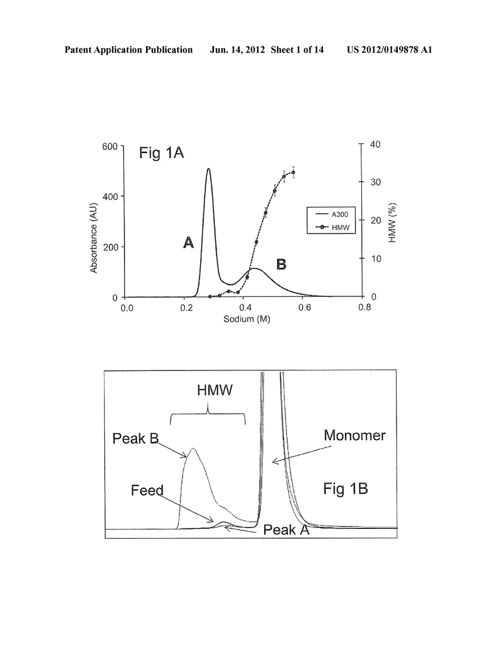 PROTEIN PURIFICATION - diagram, schematic, and image 02