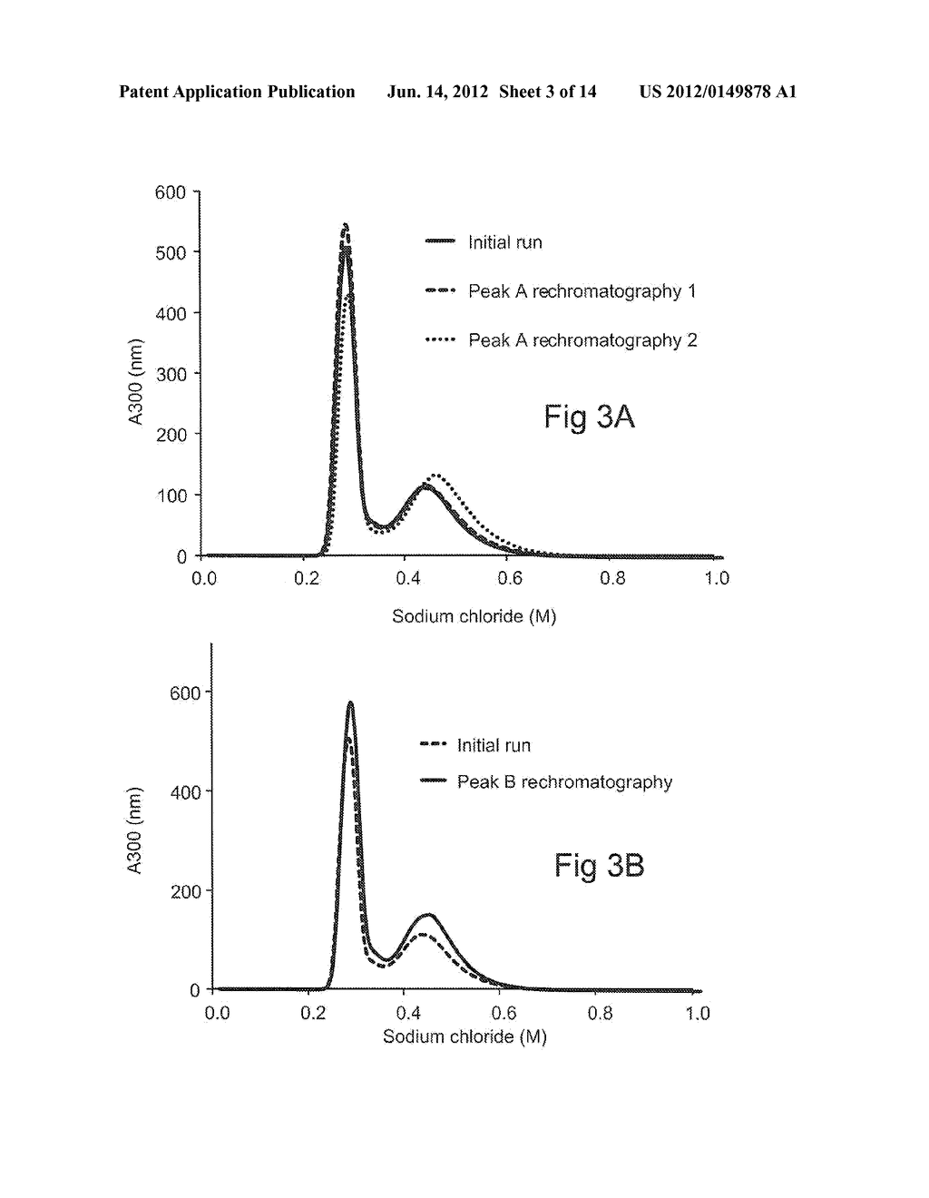 PROTEIN PURIFICATION - diagram, schematic, and image 04