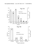 PROTEIN PURIFICATION diagram and image