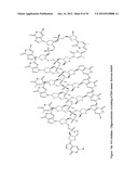 SYNTHESIS OF ARA-2 -O-METHYL-NUCLEOSIDES, CORRESPONDING PHOSPHORAMIDITES     AND OLIGONUCLEOTIDES INCORPORATING NOVEL MODIFICATIONS FOR BIOLOGICAL     APPLICATION IN THERAPEUCTICS, DIAGNOSTICS, G- TETRAD FORMING     OLIGONUCLEOTIDES AND APTAMERS diagram and image