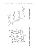SYNTHESIS OF ARA-2 -O-METHYL-NUCLEOSIDES, CORRESPONDING PHOSPHORAMIDITES     AND OLIGONUCLEOTIDES INCORPORATING NOVEL MODIFICATIONS FOR BIOLOGICAL     APPLICATION IN THERAPEUCTICS, DIAGNOSTICS, G- TETRAD FORMING     OLIGONUCLEOTIDES AND APTAMERS diagram and image