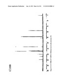 SYNTHESIS OF ARA-2 -O-METHYL-NUCLEOSIDES, CORRESPONDING PHOSPHORAMIDITES     AND OLIGONUCLEOTIDES INCORPORATING NOVEL MODIFICATIONS FOR BIOLOGICAL     APPLICATION IN THERAPEUCTICS, DIAGNOSTICS, G- TETRAD FORMING     OLIGONUCLEOTIDES AND APTAMERS diagram and image