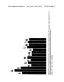 SYNTHESIS OF ARA-2 -O-METHYL-NUCLEOSIDES, CORRESPONDING PHOSPHORAMIDITES     AND OLIGONUCLEOTIDES INCORPORATING NOVEL MODIFICATIONS FOR BIOLOGICAL     APPLICATION IN THERAPEUCTICS, DIAGNOSTICS, G- TETRAD FORMING     OLIGONUCLEOTIDES AND APTAMERS diagram and image