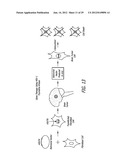 Polynucleotides Encoding Thymidine Kinase Mutants diagram and image