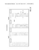 Polynucleotides Encoding Thymidine Kinase Mutants diagram and image