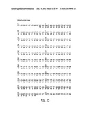 Polynucleotides Encoding Thymidine Kinase Mutants diagram and image