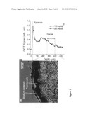 Hyaluronic acid based glucose monitoring diagram and image