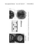 Method and System for Mitigating Current Concentration in Electrokinetic     Drug Delivery diagram and image