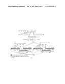 VIRTUALIZING PROCESSOR MEMORY PROTECTION WITH  L1 ITERATE AND L2 SWIZZLE  diagram and image