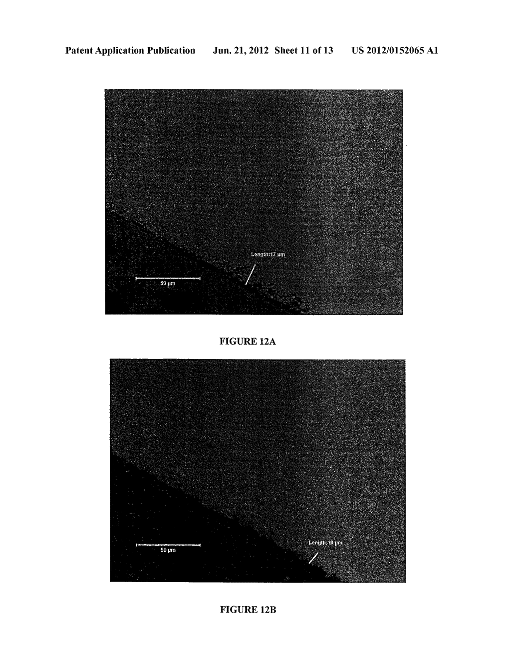 CHEMICAL AGENTS FOR RECOVERY OF LEACHED MATERIALS - diagram, schematic, and image 12