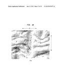 Method Of Making A Belt-Creped Absorbent Cellulosic Sheet diagram and image