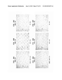 Method Of Making A Belt-Creped Absorbent Cellulosic Sheet diagram and image