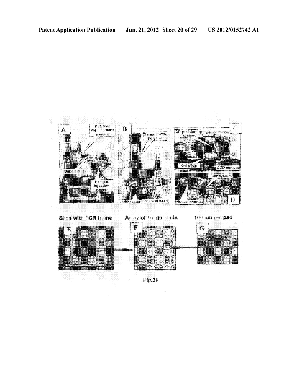 Massively Parallel 2-Dimensional Capillary Electrophoresis - diagram, schematic, and image 21