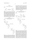 POLYMER AND METHODS FOR PREPARING AND USING THE SAME diagram and image