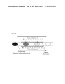ELECTROSPRAY AND NANOSPRAY IONIZATION OF DISCRETE SAMPLES IN DROPLET     FORMAT diagram and image