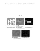 SCANNING ELECTRON MICROSCOPE AND SAMPLE OBSERVATION METHOD diagram and image