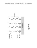 Systems and process for forming carbon nanotube sensors diagram and image