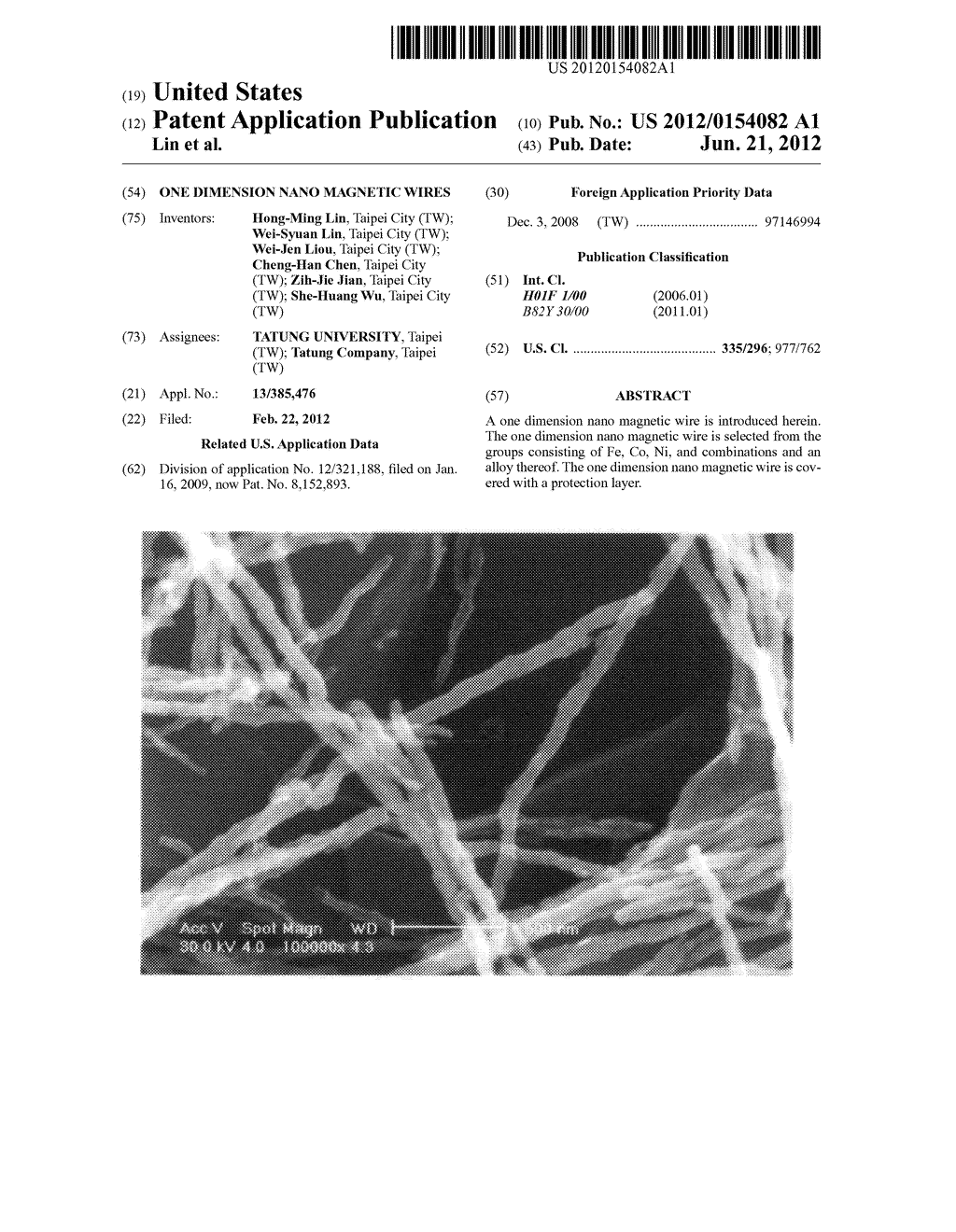 One dimension nano magnetic wires - diagram, schematic, and image 01