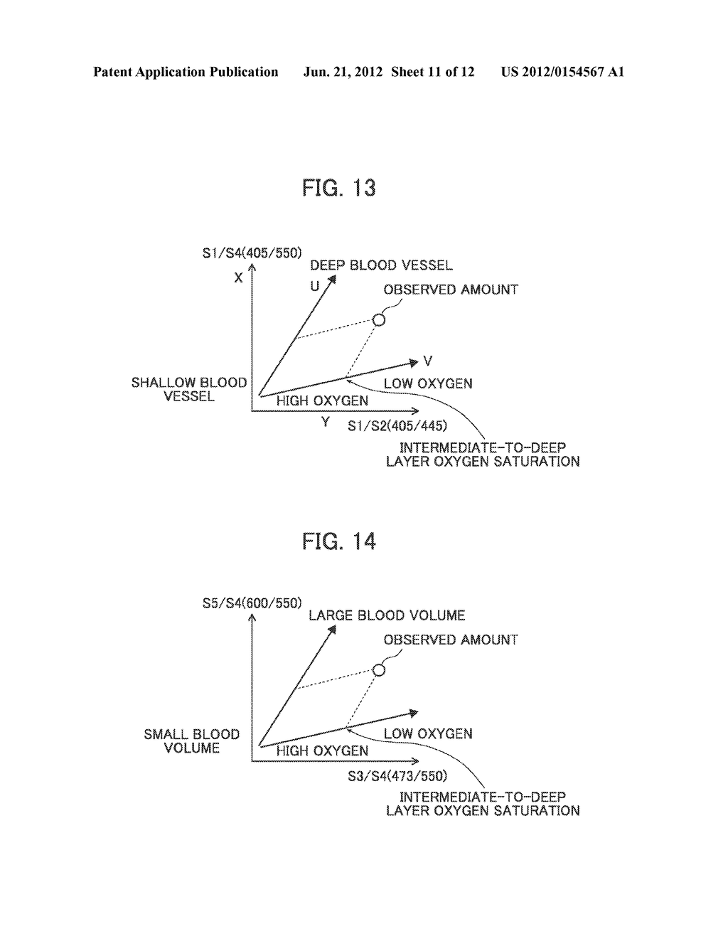 ENDOSCOPE APPARATUS - diagram, schematic, and image 12