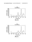 SURFACE ENHANCED RAMAN SPECTROSCOPY SYSTEM diagram and image