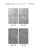 COATING COMPOSITIONS COMPRISING NON-IONIC SURFACTANT EXHIBITING REDUCED     FINGERPRINT VISIBILITY diagram and image