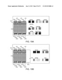 DISPLAY PIXELS, DISPLAYS, AND METHODS OF OPERATING DISPLAY PIXELS diagram and image