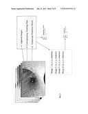 QUANTITATIVE ENDOSCOPY diagram and image