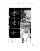 QUANTITATIVE ENDOSCOPY diagram and image