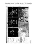 QUANTITATIVE ENDOSCOPY diagram and image