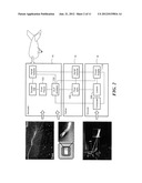 METHODS AND APPARATUS FOR A MULTI-CONTENT FIBER OPTIC DISPLAY SCREEN diagram and image