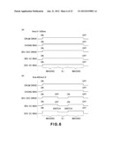 IMAGE FORMING APPARATUS diagram and image