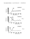 Single Wall Carbon Nanotubes By Atmospheric Chemical Vapor Deposition diagram and image