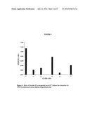 Single Wall Carbon Nanotubes By Atmospheric Chemical Vapor Deposition diagram and image