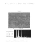 Single Wall Carbon Nanotubes By Atmospheric Chemical Vapor Deposition diagram and image