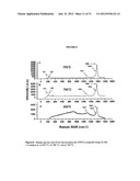 Single Wall Carbon Nanotubes By Atmospheric Chemical Vapor Deposition diagram and image