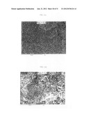 Single Wall Carbon Nanotubes By Atmospheric Chemical Vapor Deposition diagram and image