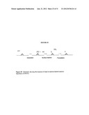 Single Wall Carbon Nanotubes By Atmospheric Chemical Vapor Deposition diagram and image