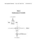 NON-RADIOACTIVE PHOSPHOLIPID COMPOUNDS, COMPOSITIONS, AND METHODS OF USE diagram and image