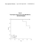 NON-RADIOACTIVE PHOSPHOLIPID COMPOUNDS, COMPOSITIONS, AND METHODS OF USE diagram and image