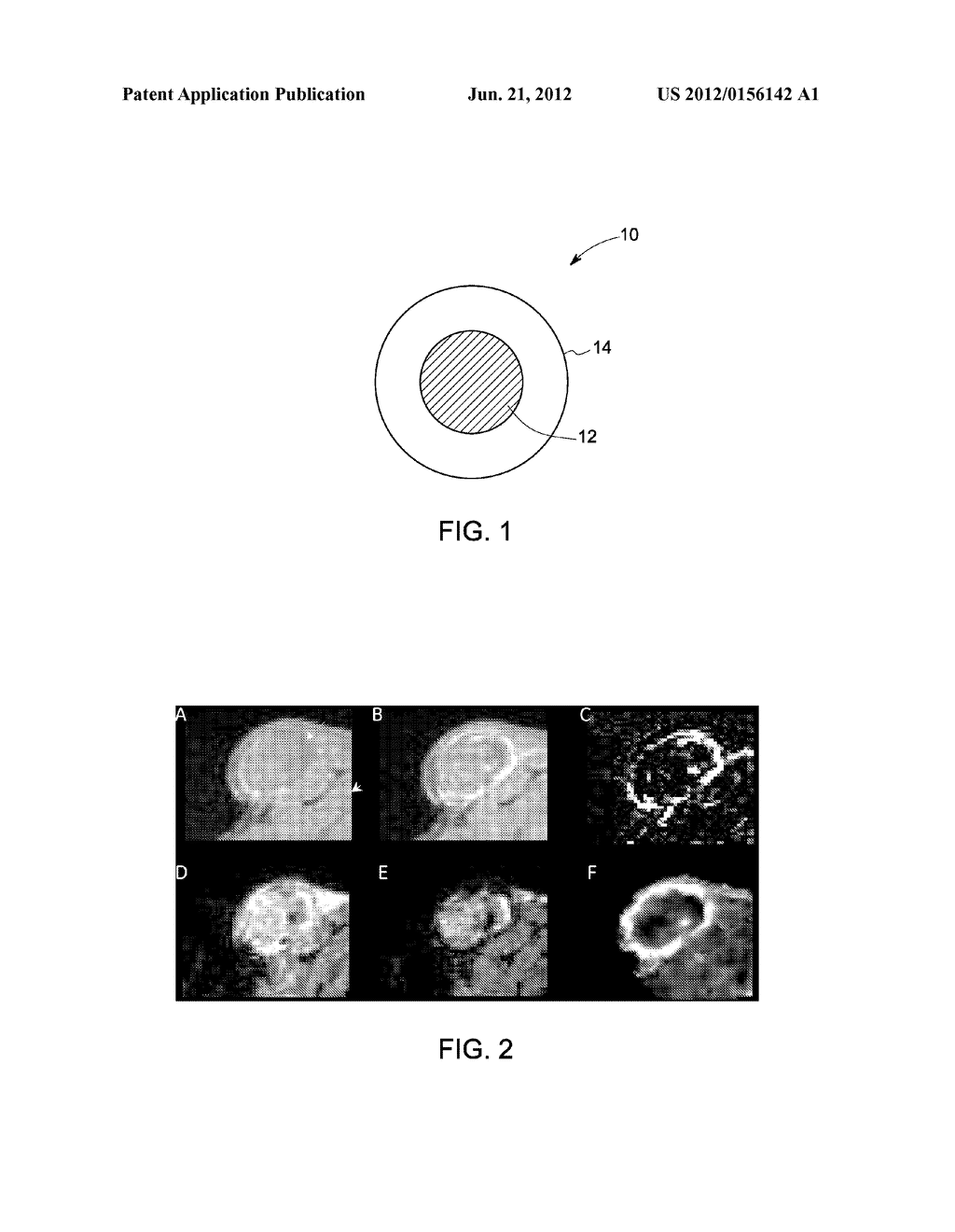 DIAGNOSTIC AGENT COMPOSITION AND ASSOCIATED METHODS THEREOF - diagram, schematic, and image 02