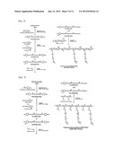 IN SITU-FORMING HYDROGEL FOR TISSUE ADHESIVES AND BIOMEDICAL USE THEREOF diagram and image