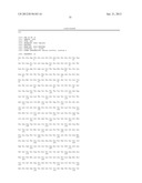 SORCS1-LIKE AGENT FOR USE IN THE TREATMENT OF INSULIN RESISTANCE AND     DISEASES RELATED THERETO diagram and image