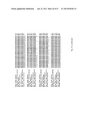 SORCS1-LIKE AGENT FOR USE IN THE TREATMENT OF INSULIN RESISTANCE AND     DISEASES RELATED THERETO diagram and image