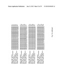 SORCS1-LIKE AGENT FOR USE IN THE TREATMENT OF INSULIN RESISTANCE AND     DISEASES RELATED THERETO diagram and image