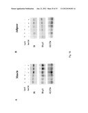 SORCS1-LIKE AGENT FOR USE IN THE TREATMENT OF INSULIN RESISTANCE AND     DISEASES RELATED THERETO diagram and image