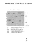 SORCS1-LIKE AGENT FOR USE IN THE TREATMENT OF INSULIN RESISTANCE AND     DISEASES RELATED THERETO diagram and image