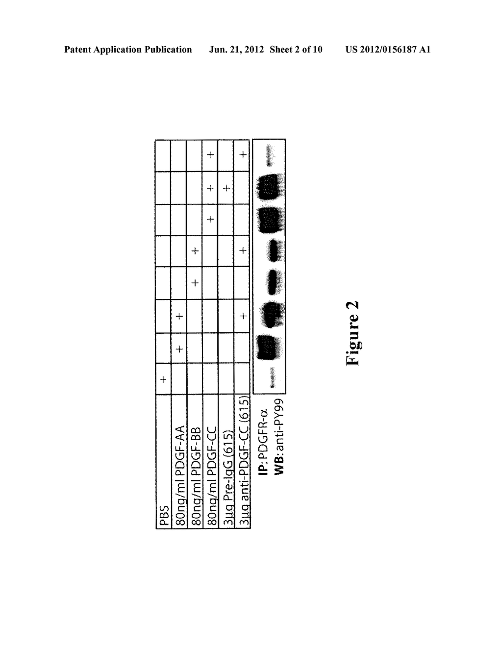 METHODS AND COMPOSITIONS FOR MODULATION OF BLOOD-NEURAL BARRIER - diagram, schematic, and image 03