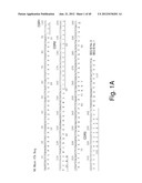 HUMANIZED ANTIBODIES SPECIFIC FOR HSP65-DERIVED PEPTIDE-6 METHODS AND USES     THEREOF diagram and image