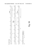 HUMANIZED ANTIBODIES SPECIFIC FOR HSP65-DERIVED PEPTIDE-6 METHODS AND USES     THEREOF diagram and image